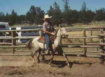 Riding a young 3 yr old gelding in the round pen--4th ride and he horse and rider are at ease.